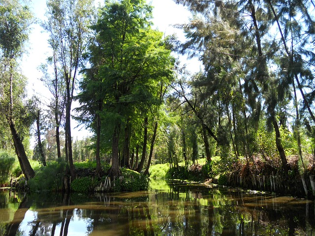 xochimilco