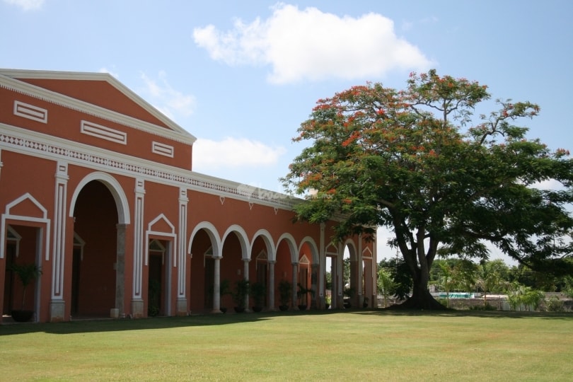 negocios en Mérida